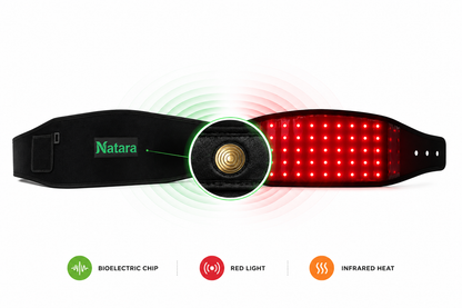 Energy Belt